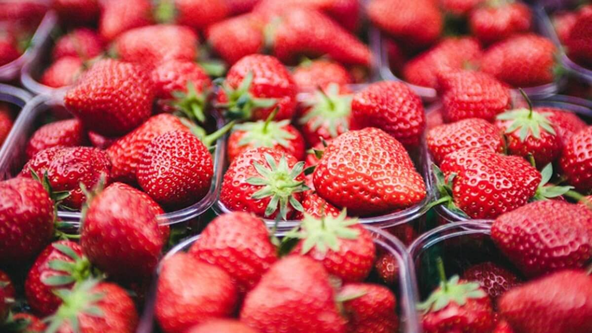 AIMPLAS organiza un taller para incorporar plástico reciclado en envase alimentario aplicando el Reglamento Europeo (1).jpg